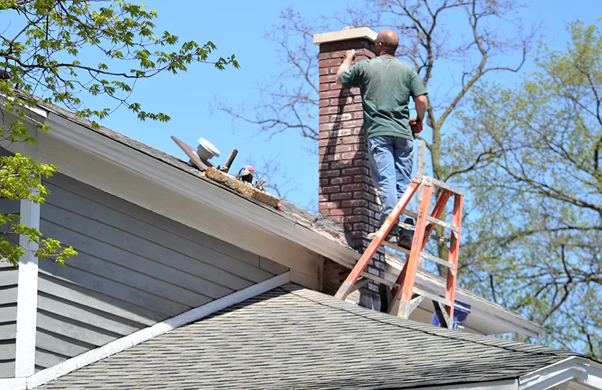Chimney & Fireplace Inspections Services in Birmingham, MI
